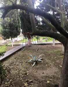 Taman di luar дом