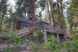 a tree house with a deck in the woods at Zephyr Cabin home in Zephyr Cove