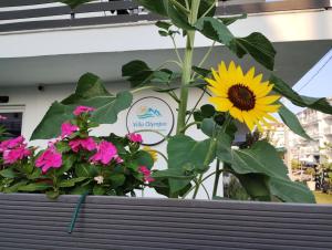a sunflower in a flower pot in front of a sign at Villa Olympia in Paralia Katerinis