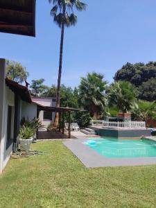 a backyard with a swimming pool and a palm tree at Tiny harties in Hartbeespoort