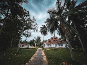 a palm tree in front of a white house at Rohans place in Nattandiya