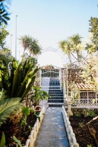 Zahrada ubytování Villa Palma