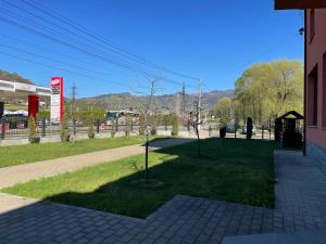 een kleine boom in het midden van een park bij Pensiunea Doris in Rodna +1 foto