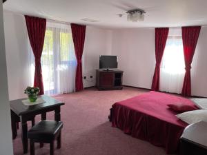 een slaapkamer met een bed, een tafel en een tv bij Pensiunea Doris in Rodna