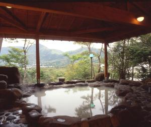 a hot tub with a view of the mountains at Senkyoro in Hakone