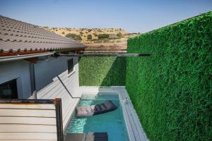 a swimming pool in front of a green wall at Dasi סוויטות אירוח in Moshav Ramot