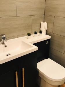 a bathroom with a sink and a toilet and a mirror at Sky City Apartments in Coventry +19 photos