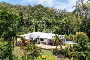 MialloにあるRainforest Retreat in Bambooの森の中の家