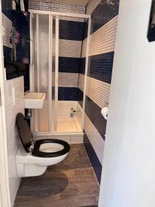 a small bathroom with a toilet and a sink at Comfortabel studio 19 min from downtown Amsterdam in Purmerend +10 photos