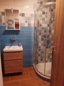 a bathroom with a shower and a sink at Apartmán Mírová in Nové Město na Moravě