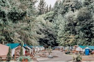 Příroda nedaleko luxury tent