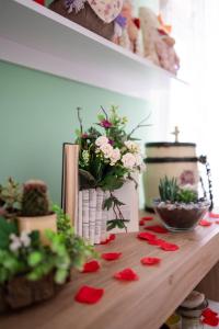 Fotografie z fotogalerie ubytování Alice Mercadini B&B v destinaci Cesena