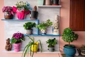 Fotografie z fotogalerie ubytování Alice Mercadini B&B v destinaci Cesena