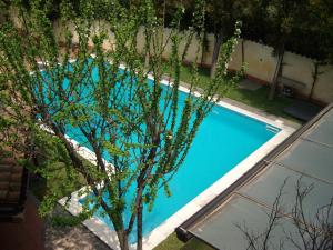 The swimming pool at or close to VILLA SINGOLA -SOLE-LUNA-Casavilladusoleil