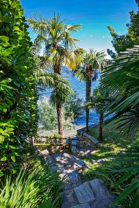 un jardín con palmeras y un banco en la playa en La Terrazza, en Carmine