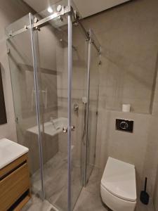 a bathroom with a shower with a toilet and a sink at Cocon moderne in Essaouira