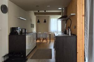 Kuchyň nebo kuchyňský kout v ubytování Red Door Apartment