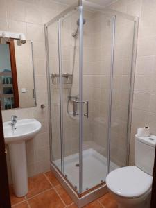 a bathroom with a shower and a toilet and a sink at La Labranza del Bosque in El Bosque