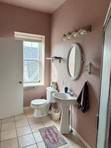 a bathroom with a toilet and a sink and a mirror at Wenzil Taylor Building in Spillville