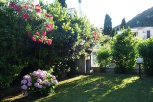 un jardín con flores rosas en un patio en Vacanze a Villa Ortensia, en San Teodoro 66 fotos más