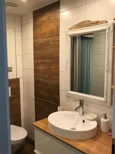 Koupelna v ubytování Ferienhaus mit Sauna und großem Garten, Hunde willkommen