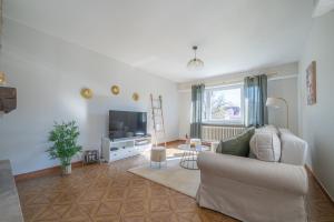 ein Wohnzimmer mit Sofa und Fernseher in der Unterkunft La Maison Royale - Terrasse et Jardin in Haguenau