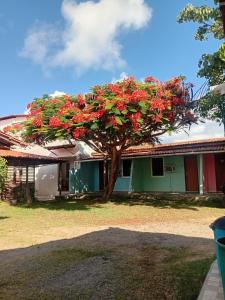 a tree with red flowers in front of a house at Pousada subauma in Subaúma