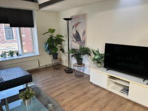 a living room with a flat screen tv and potted plants at Appartementen Purmerend A in Purmerend