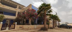 a house with palm trees in front of it at Blu Shell - Ca' Greta in Sal Rei