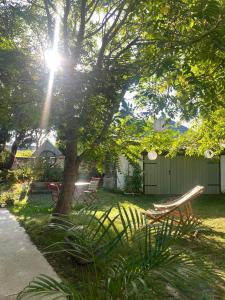 a yard with two park benches under a tree at Hatablak Boutique Guesthouse in Köveskál in Köveskál