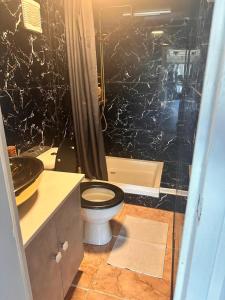 a bathroom with a toilet and a shower at Chalet 151 Kniphorst Anloo in Anloo