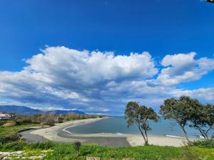 a view of a beach with a tree in the foreground at Villa santa karina in Linguizzetta