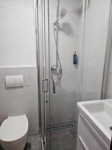 a bathroom with a shower and a toilet and a sink at GREJM Family Apartments in Petrovac na Moru