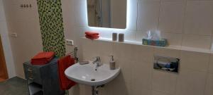 Fewo Mittags-Ruh في رايشنباخ إم فوغتلاند: حمام مع حوض ومرآة