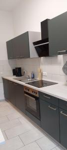 Fewo Mittags-Ruh في رايشنباخ إم فوغتلاند: مطبخ مع حوض وموقد +4 صور