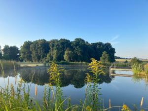 a lake with a dock in the middle of it at Der Welfenshof in Malschwitz