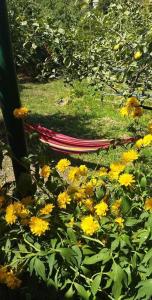 Imagen de la galería de Green Yard, en Haghpat 3 fotos más