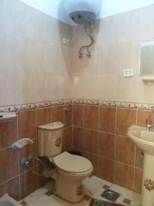 a bathroom with a toilet and a sink at Ziggy Marley Backpackers Hostel in Al Aqālitah