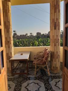 a room with a table and a chair and a window at Ziggy Marley Backpackers Hostel in Al Aqālitah