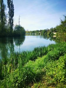 Gallery image of Bel Appt Centre, Marais, rando in Niort