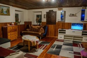 a living room with a couch and a tv at Sigma house in Mojstrana