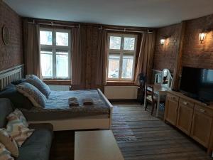 een woonkamer met een bank en een tv bij Stare Miasto in Olsztyn