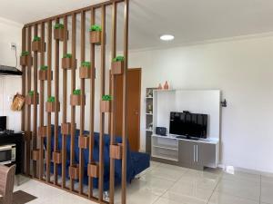 Μια τηλεόραση ή/και κέντρο ψυχαγωγίας στο Novo apartamento em São Lourenço