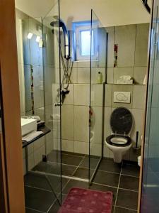 a bathroom with a toilet and a glass shower at Frühstück pension in Langenlebarn