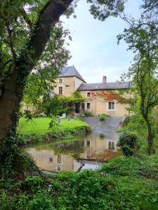 ChartrenéLes roulottes du Moulin de Palet的前面有池塘的房子