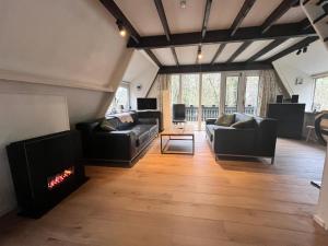 a living room with two couches and a fireplace at Chalet 146 Arrivée in Durbuy