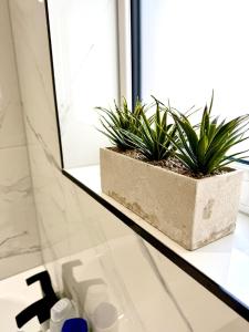 a glass counter with two plants on a window sill at Luxurious Modern House With Garden Close To City Centre in Cardiff