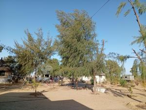 Φωτογραφία από το άλμπουμ του Coeur Phil-Harmonie σε Ndangane +11 φωτογραφίες