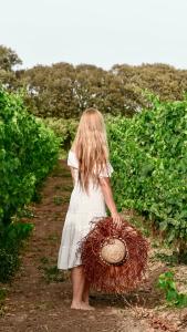 Hosté ubytování Is Cheas wine farm boutique hotel
