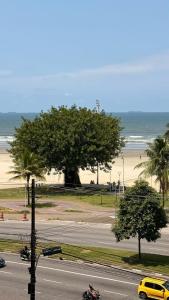 een weg met een boom aan de kant van een strand bij Apê da divisa in São Vicente